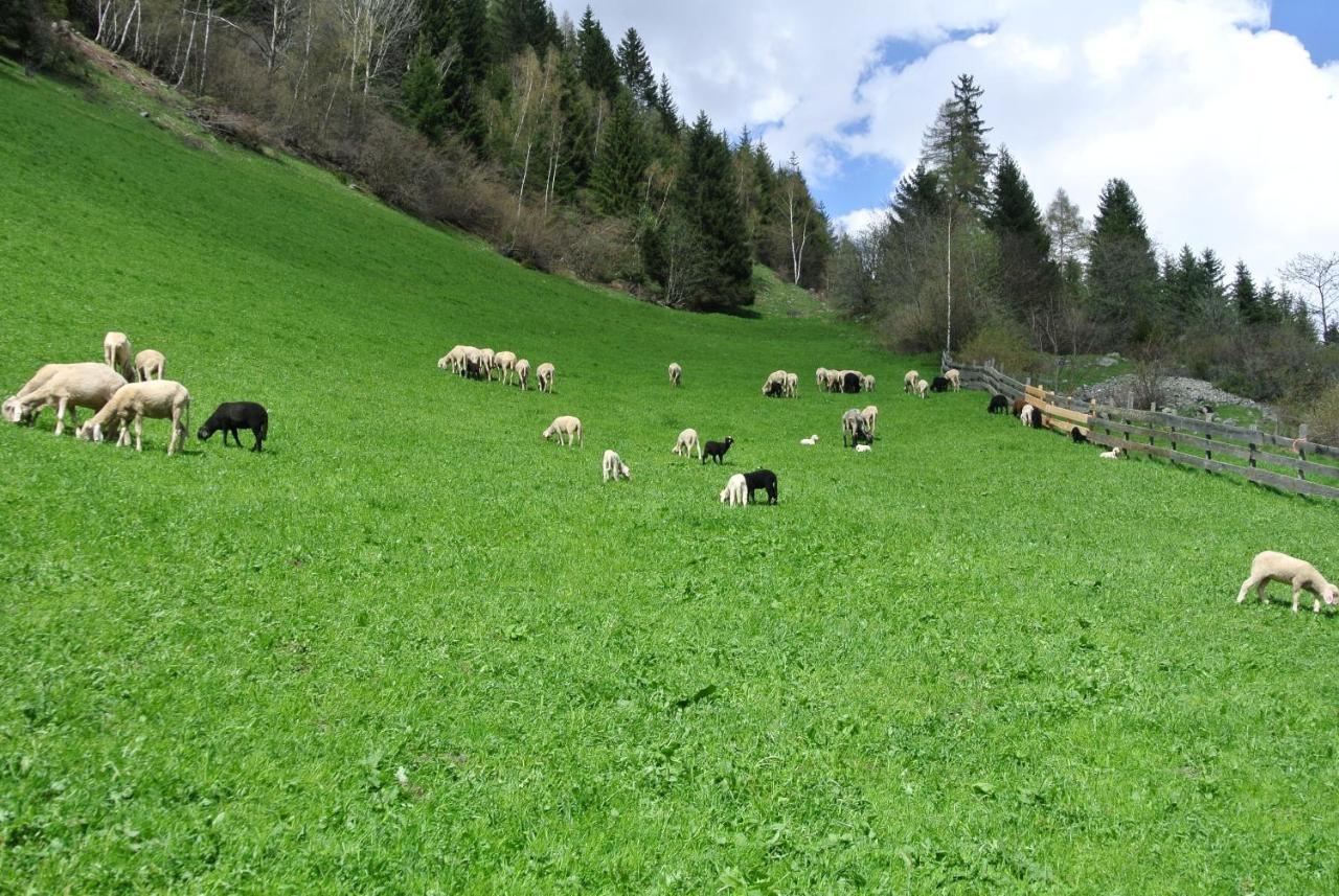 Ferienwohnungen Niederarnigerhof Familie Bauernfeind Кальс-ам-Гросглоккнер Экстерьер фото
