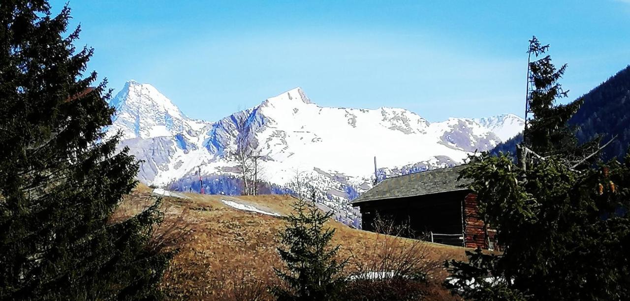 Ferienwohnungen Niederarnigerhof Familie Bauernfeind Кальс-ам-Гросглоккнер Экстерьер фото